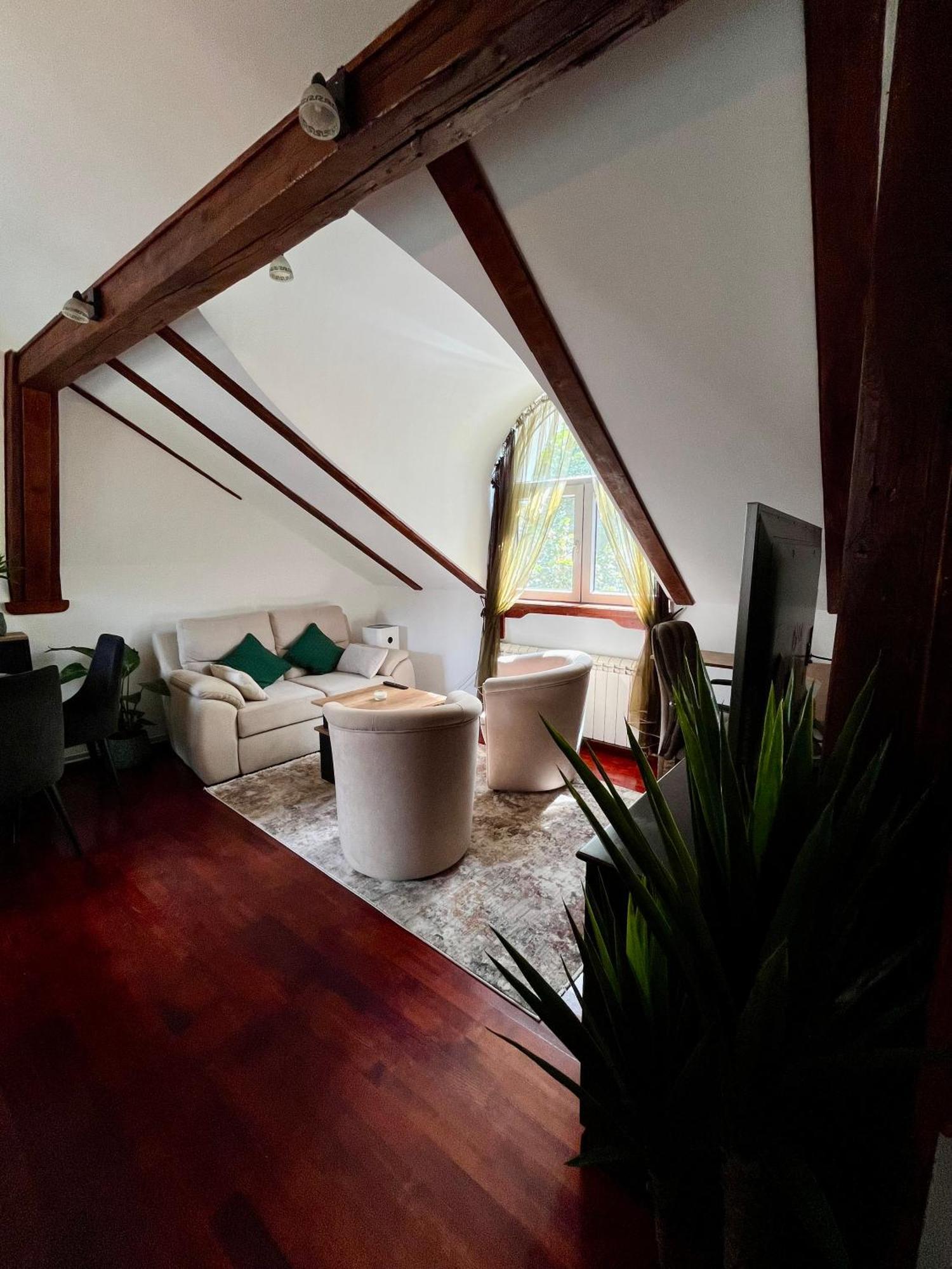 Apartament Urban Oasis Belgrad Zewnętrze zdjęcie